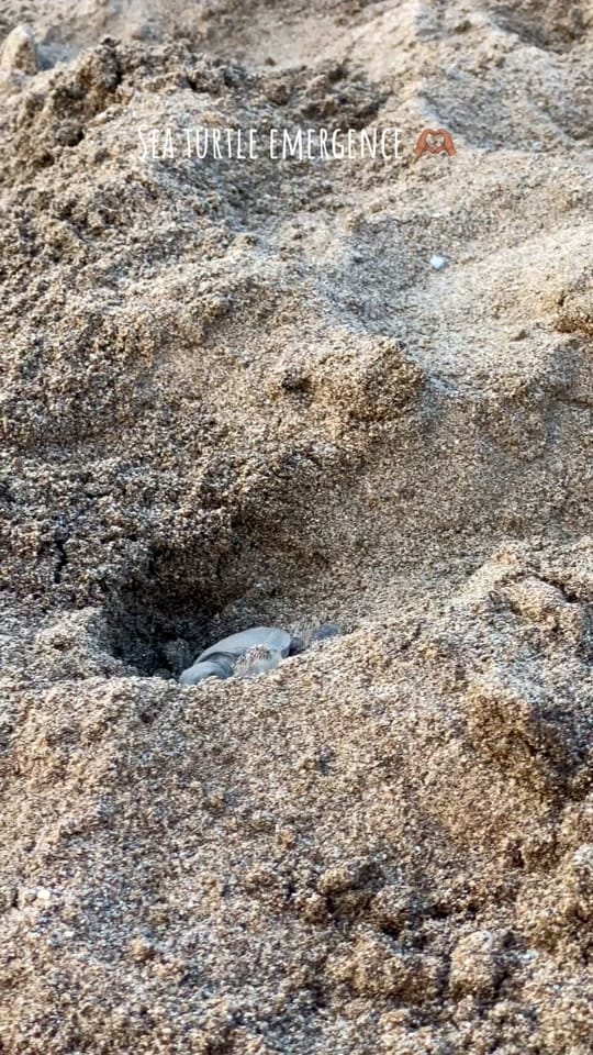 Post 7 by Camille | photographe outdoor on TikTok (video)