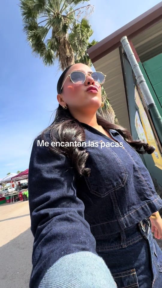 Post 3 by Alejandra Cruz on TikTok (video)