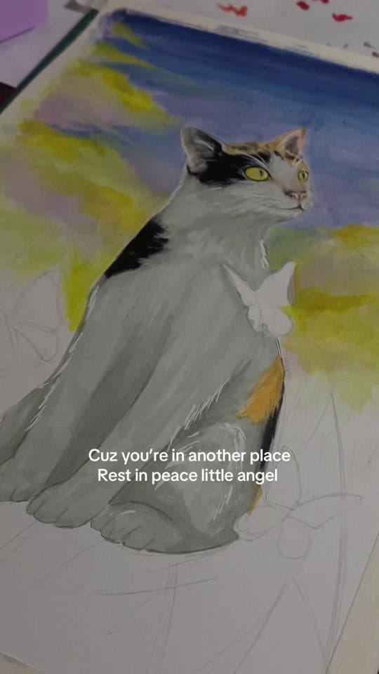 Post 4 by SoulPann - សូលប៉ាន់ on TikTok (video)