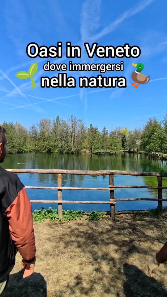 Post 5 by Alessia & Daniele on TikTok (video)