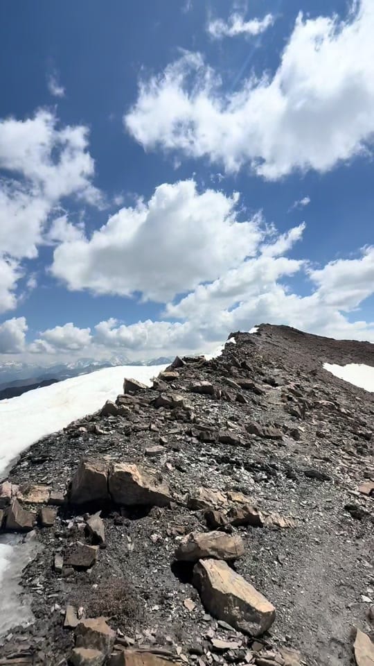 Post 2 by Olive on TikTok (video)