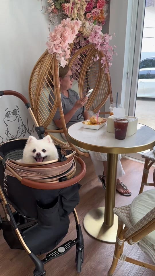 Post 4 by kinteaw(กิน-เที่ยว)allday on TikTok (video)