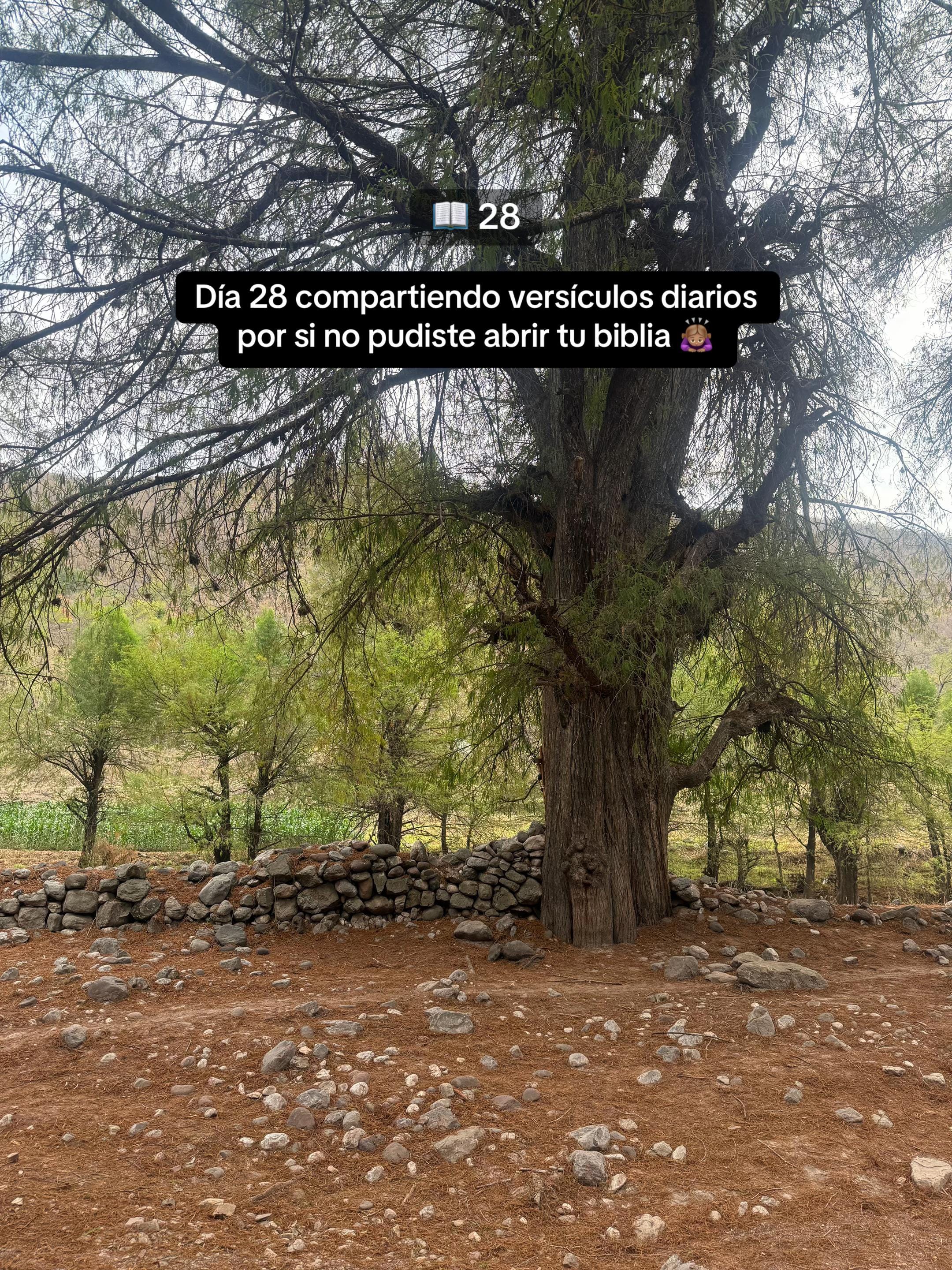 Post 7 by Anni Cardoso on TikTok (video)