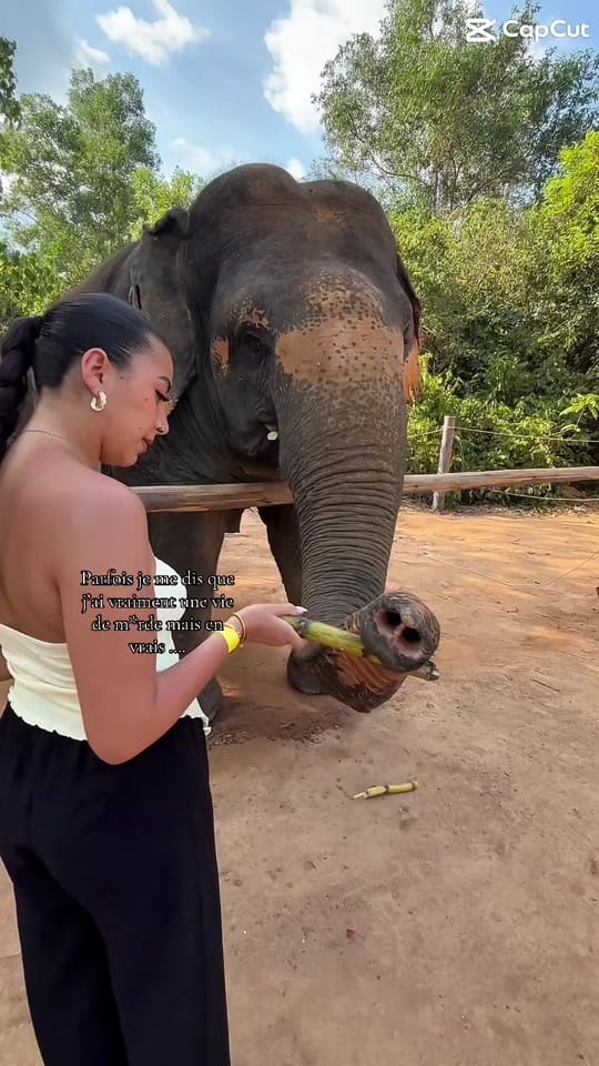 Post 1 by 𝐒𝐨𝐡𝐚𝐧𝐞💫 on TikTok (video)