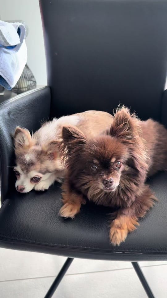 Post 3 by schnullis_gang on TikTok (video)