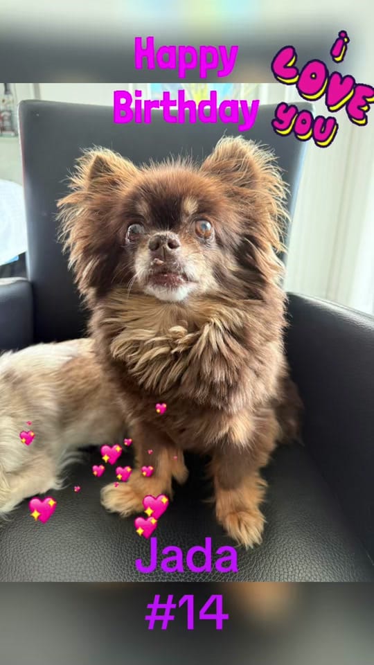 Post 1 by schnullis_gang on TikTok (video)