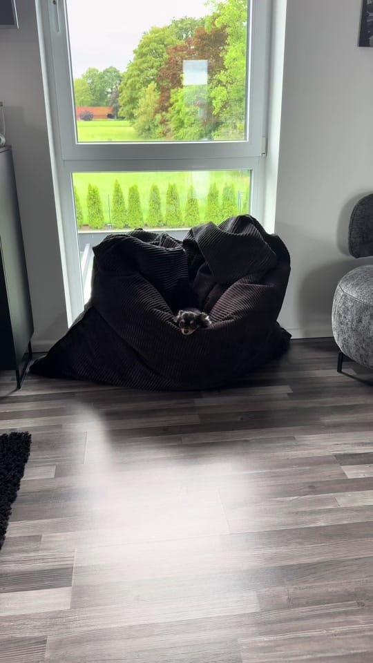 Post 4 by schnullis_gang on TikTok (video)