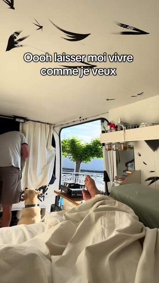 Post 7 by Van.Papier on TikTok (video)