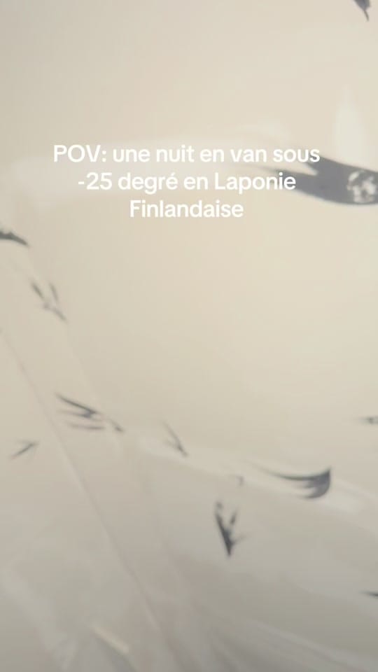 Post 8 by Van.Papier on TikTok (video)