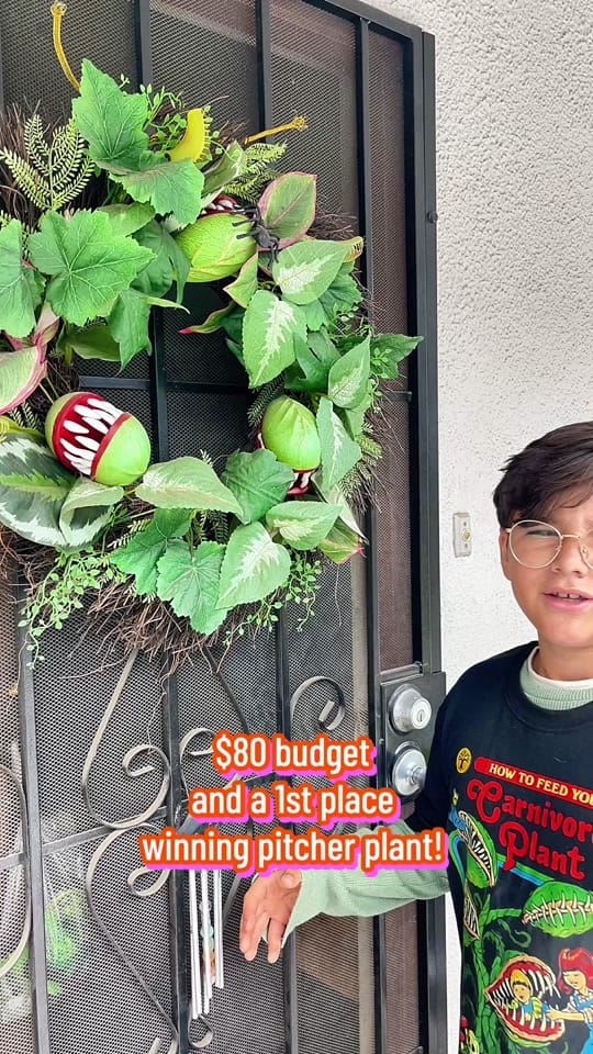 Post 2 by TerranAndCassie🩵 on TikTok (video)