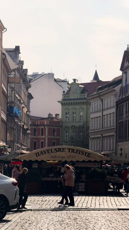 Post 3 by Mallau | TRAVEL 🌺🥭✨ on TikTok (video)