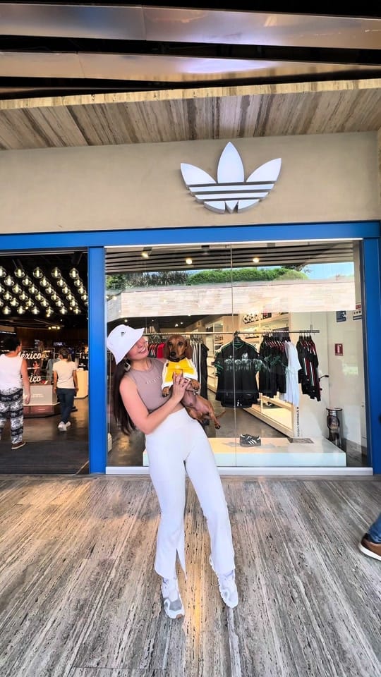 Post 8 by gustaconmarion on TikTok (video)