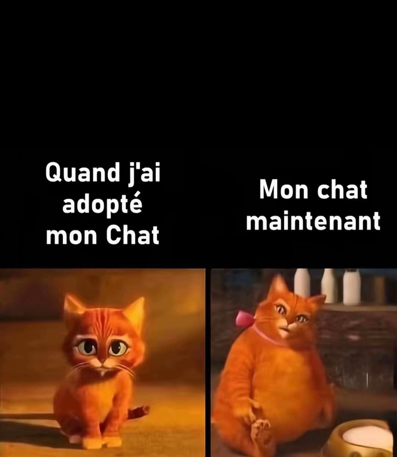 Post 10 by Gaïa 🌎🧳✈️ on TikTok (video)