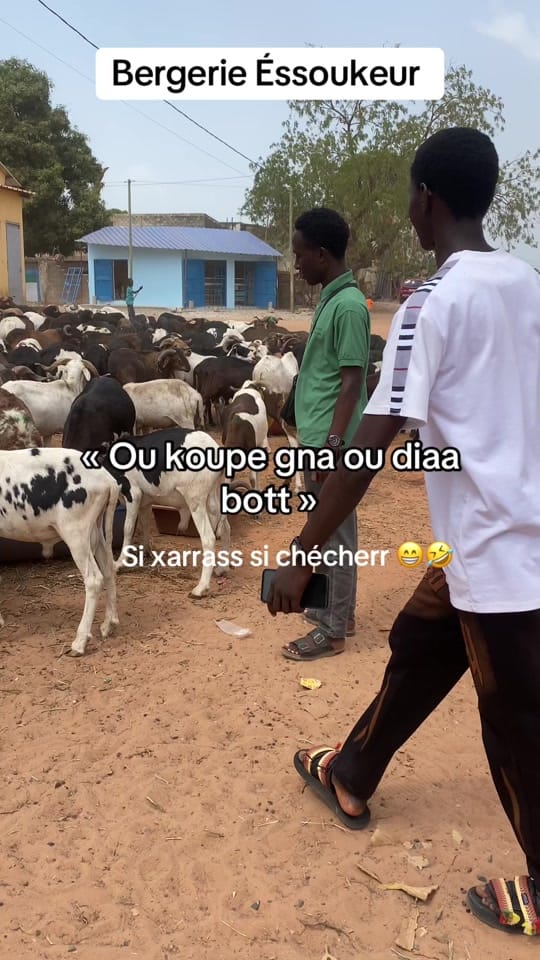 Post 8 by sylo_essoukeur on TikTok (video)