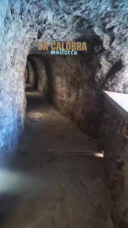Post 1 by Manu on TikTok (video)