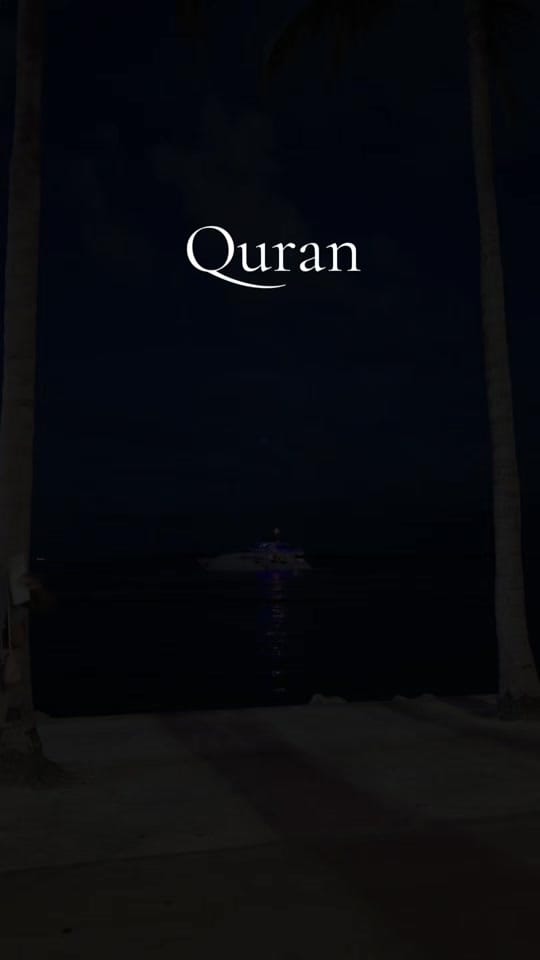 Post 5 by 💞Mysterious 💞 on TikTok (video)
