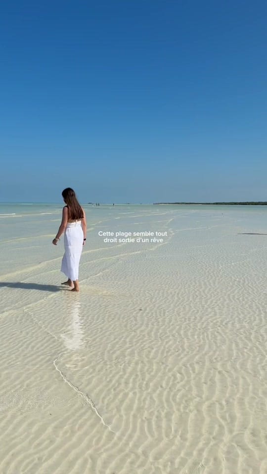 Post 8 by Elodie | Travel blogger ✈️🌴 on TikTok (video)