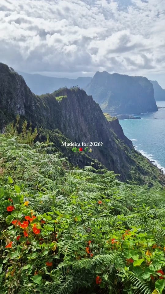 Post 9 by Elodie | Travel blogger ✈️🌴 on TikTok (video)