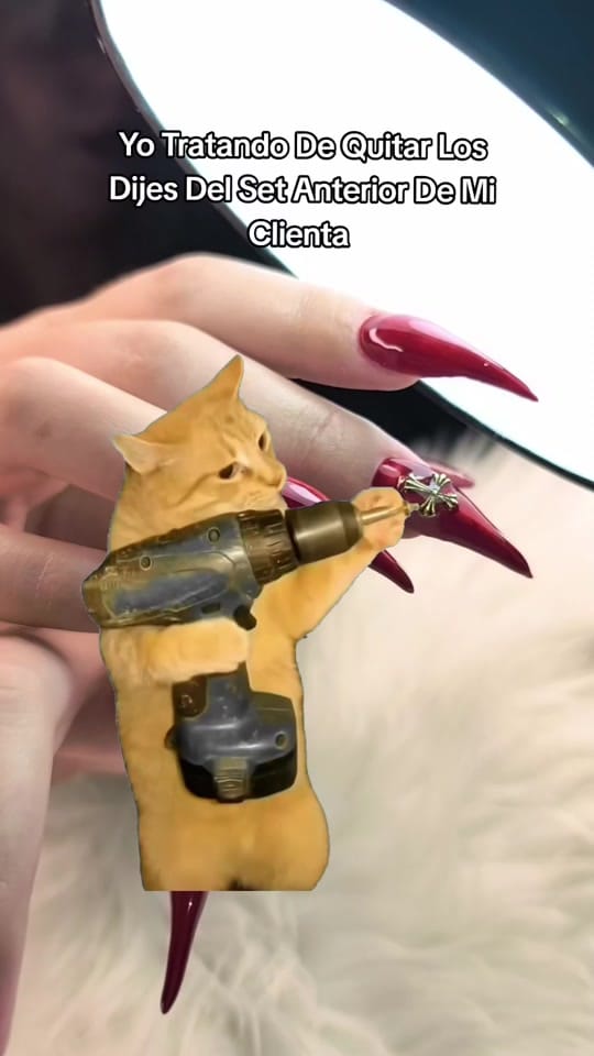 Post 2 by La Mas Perra on TikTok (video)