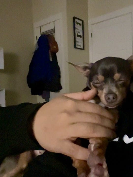 Post 10 by callme_rayymen on TikTok (video)