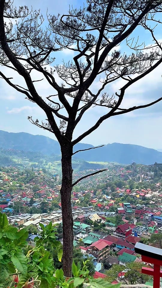 Post 2 by D.France on TikTok (video)