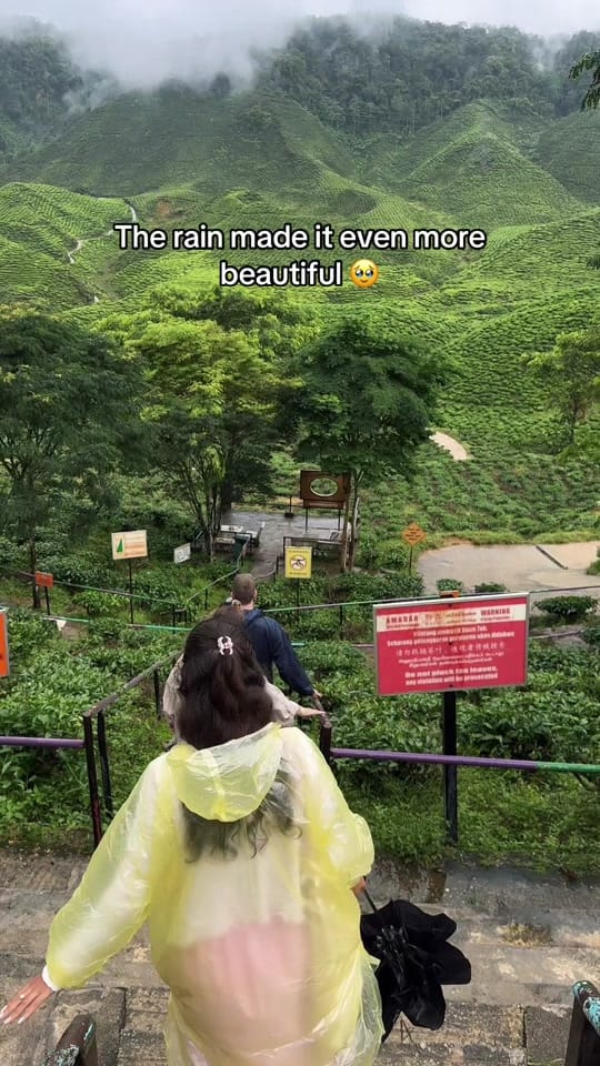 Post 3 by Sam 🌸 on TikTok (video)