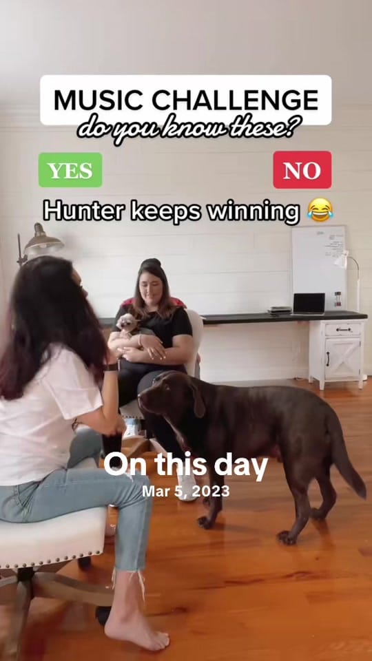 Post 10 by Crystal on TikTok (video)