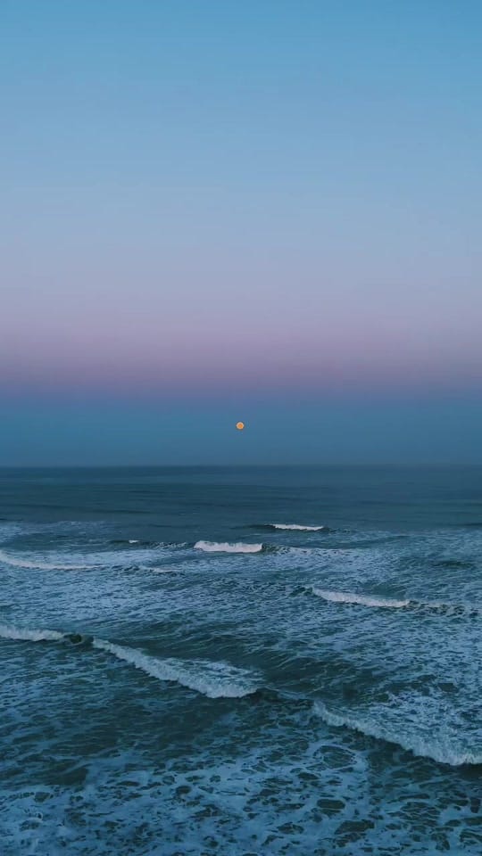 Post 7 by Jon Sanchez on TikTok (video)