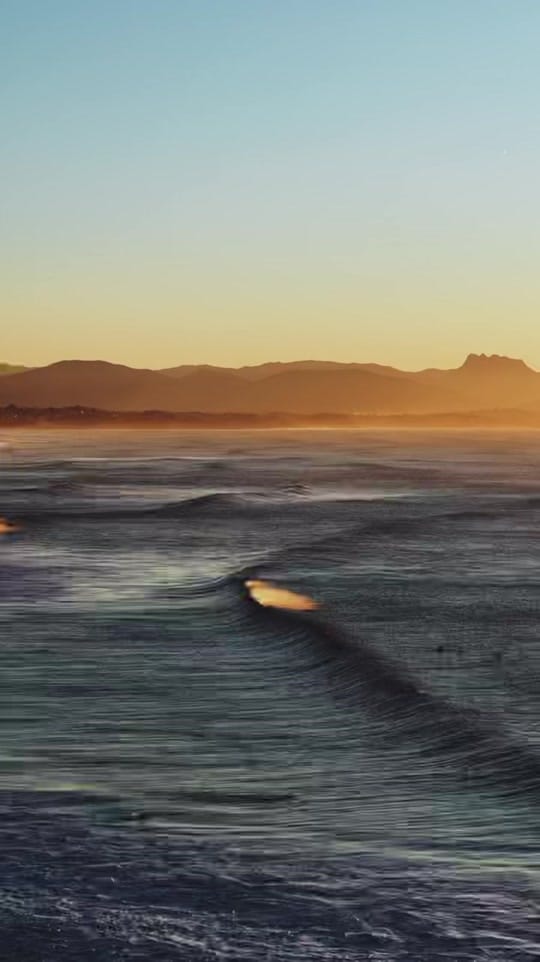 Post 4 by Jon Sanchez on TikTok (video)