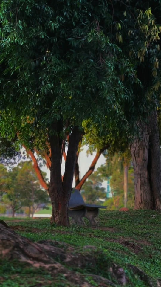 Post 5 by Ady Budika on TikTok (video)