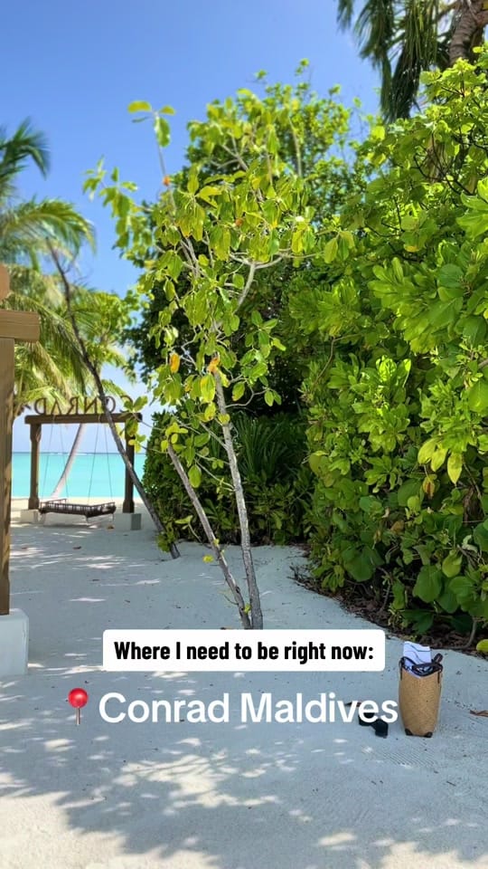 Post 9 by Vanita l F1 & Travel on TikTok (video)