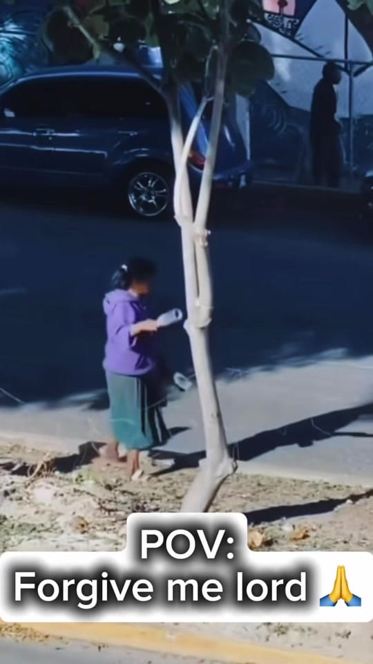 Post 7 by Leon Crean on TikTok (video)