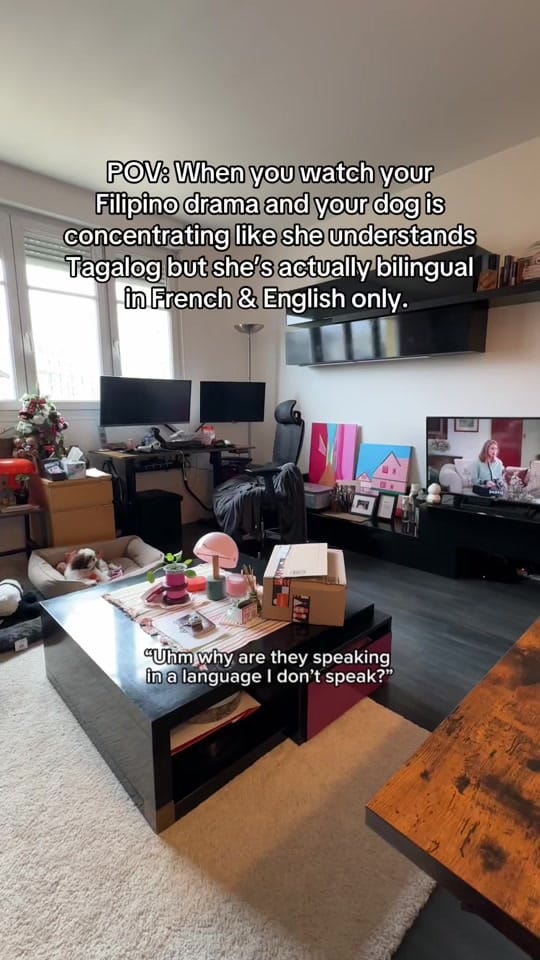Post 4 by Fran | Franglophone in Paris on TikTok (video)