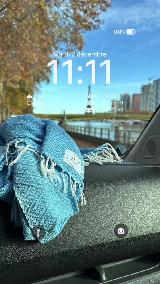 Post 3 by Fran | Franglophone in Paris on TikTok (video)