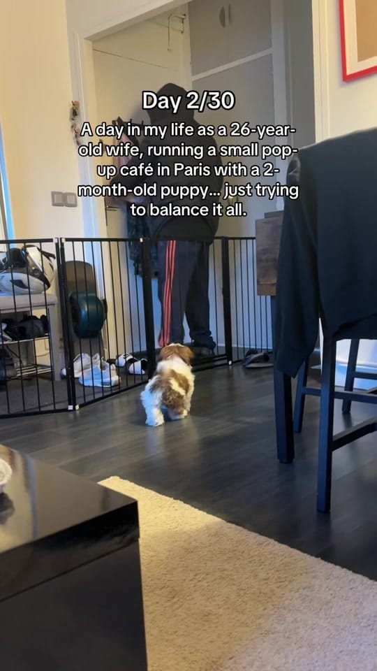 Post 2 by Fran | Franglophone in Paris on TikTok (video)