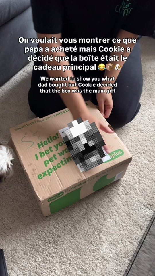 Post 5 by Fran | Franglophone in Paris on TikTok (video)