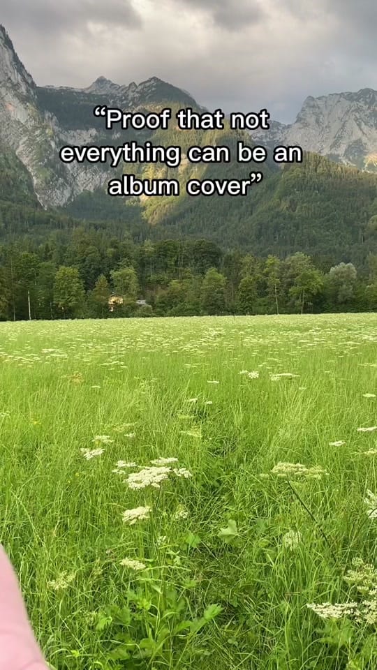 Post 10 by Swann and The Berries on TikTok (video)