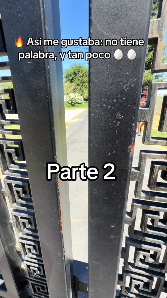 Post 3 by El Carpintero Belicon on TikTok (video)
