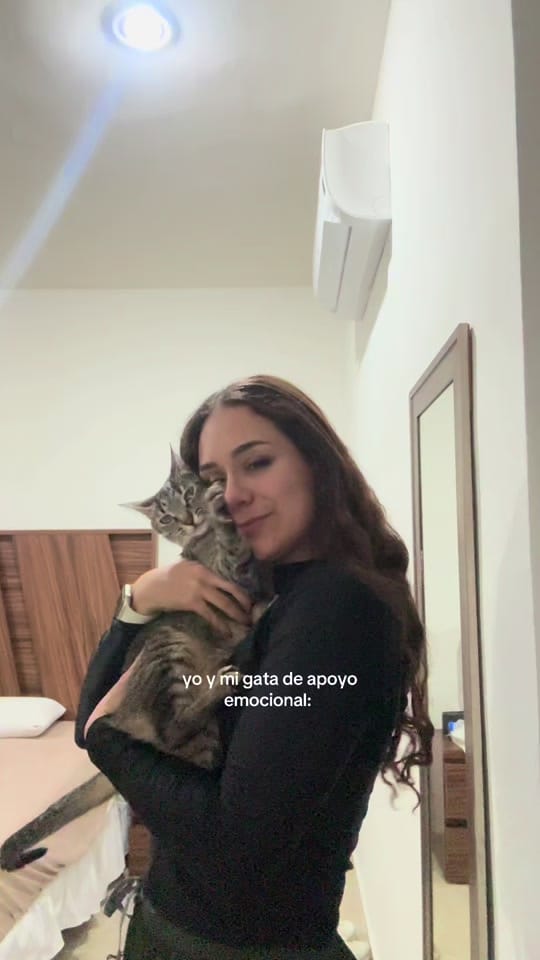 Post 3 by latriplefe on TikTok (video)