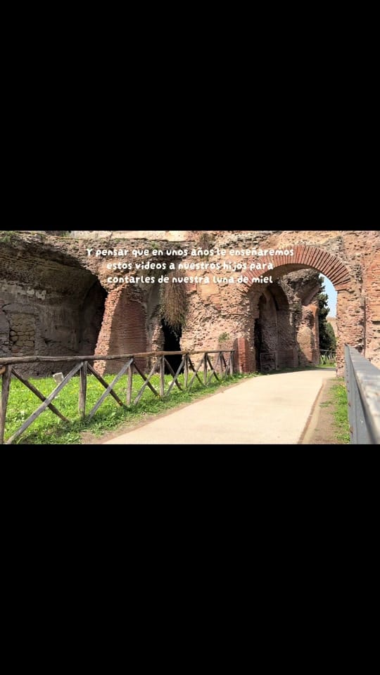 Post 8 by Ali Manzano on TikTok (video)