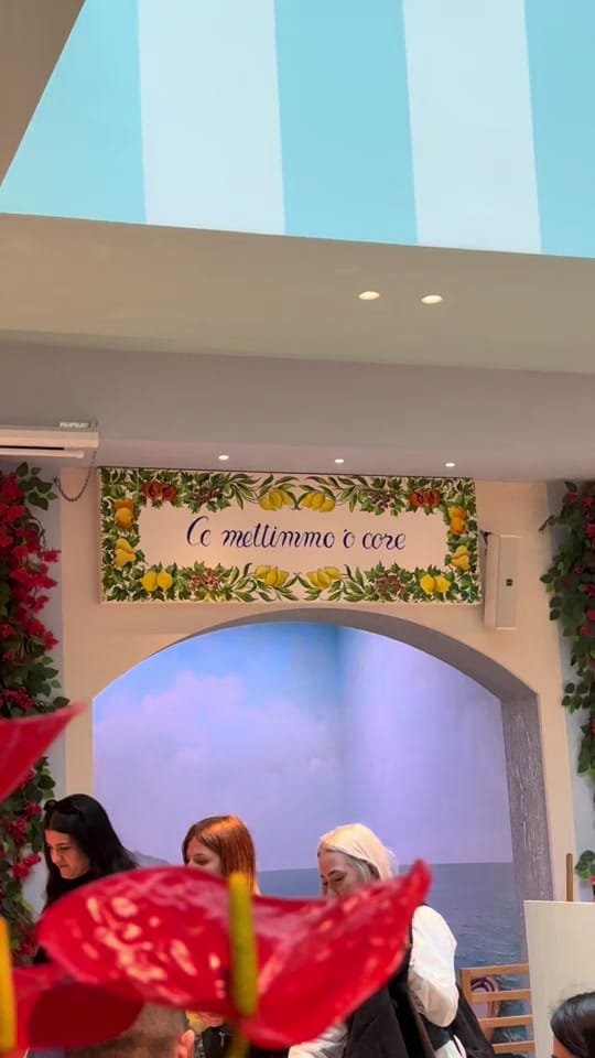 Post 9 by Ali Manzano on TikTok (video)