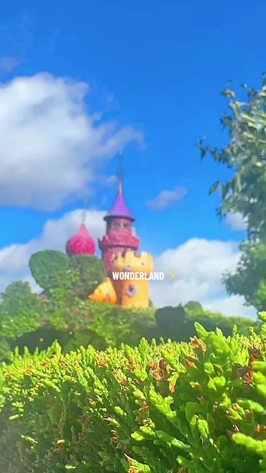 Post 4 by Sam | DLP Tips Queen 👑 on TikTok (video)