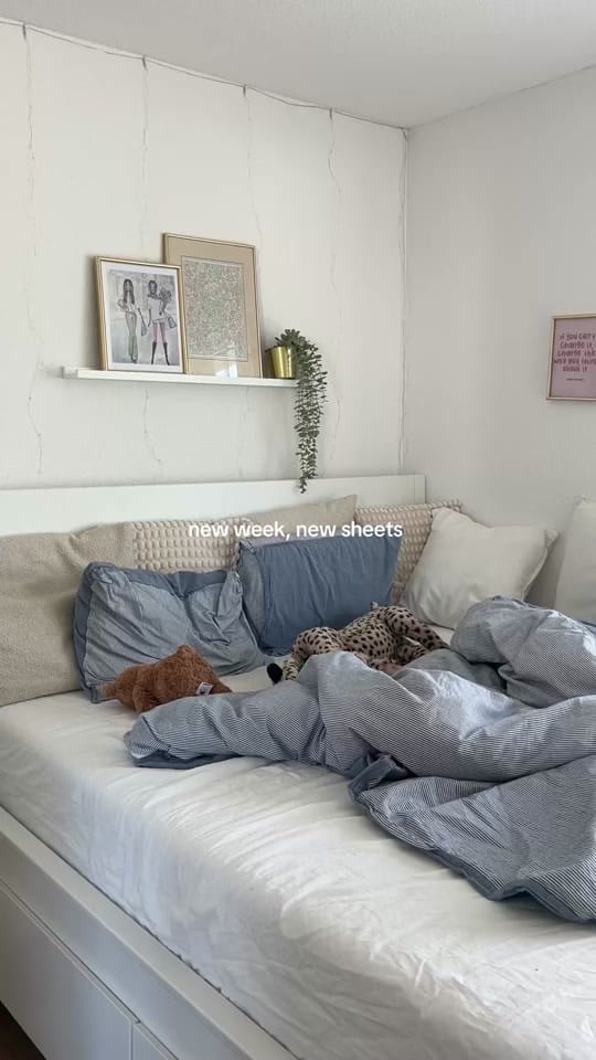 Post 8 by L E O 🌟 on TikTok (video)