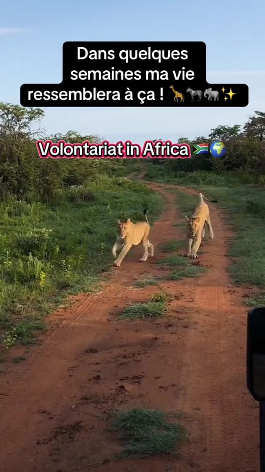 Post 5 by Carla | Travels on TikTok (video)