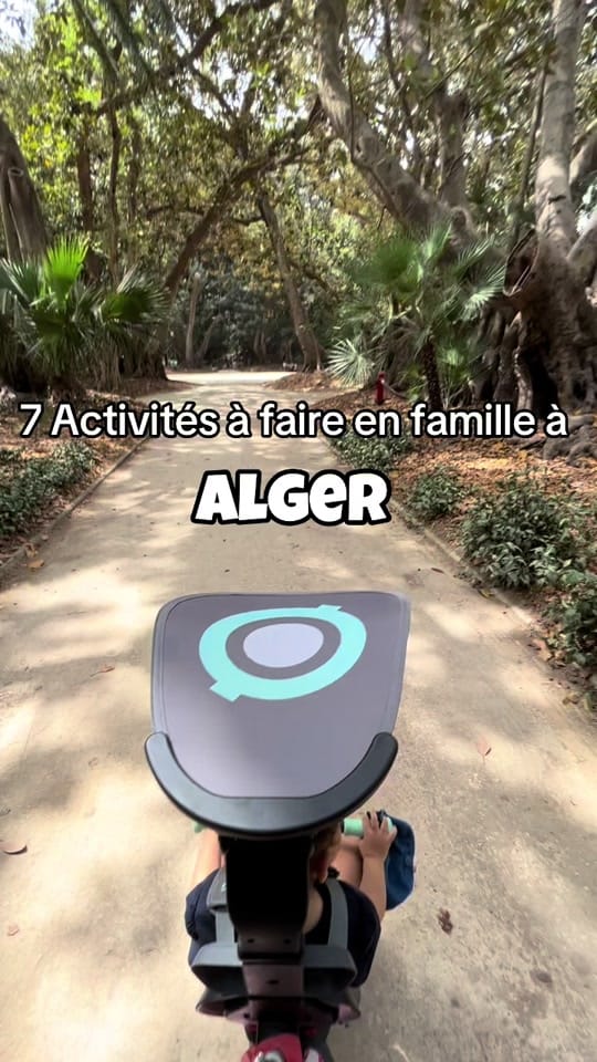 Post 9 by The Algerian Wanderer on TikTok (video)