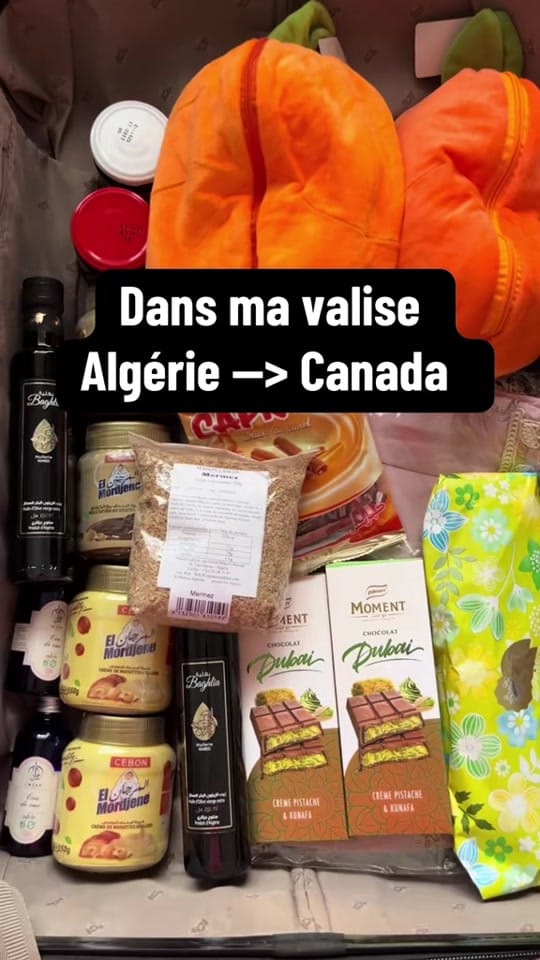 Post 5 by The Algerian Wanderer on TikTok (video)