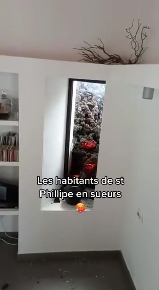 Post 10 by Mark Auber on TikTok (video)