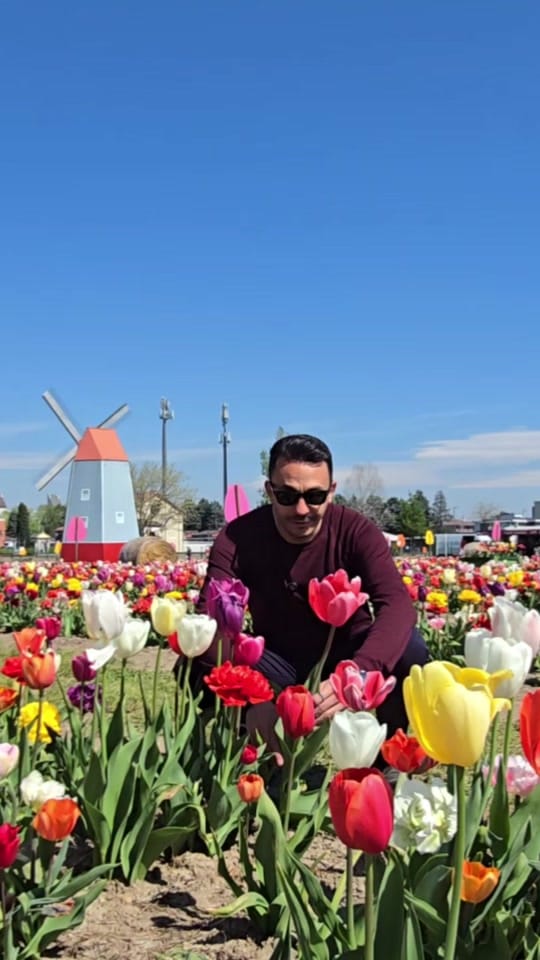Post 3 by Alber Travels on TikTok (video)