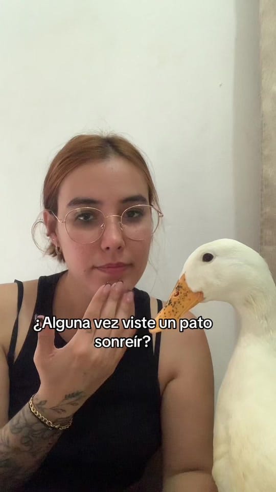 Post 9 by Mariam Leal🪿 on TikTok (video)