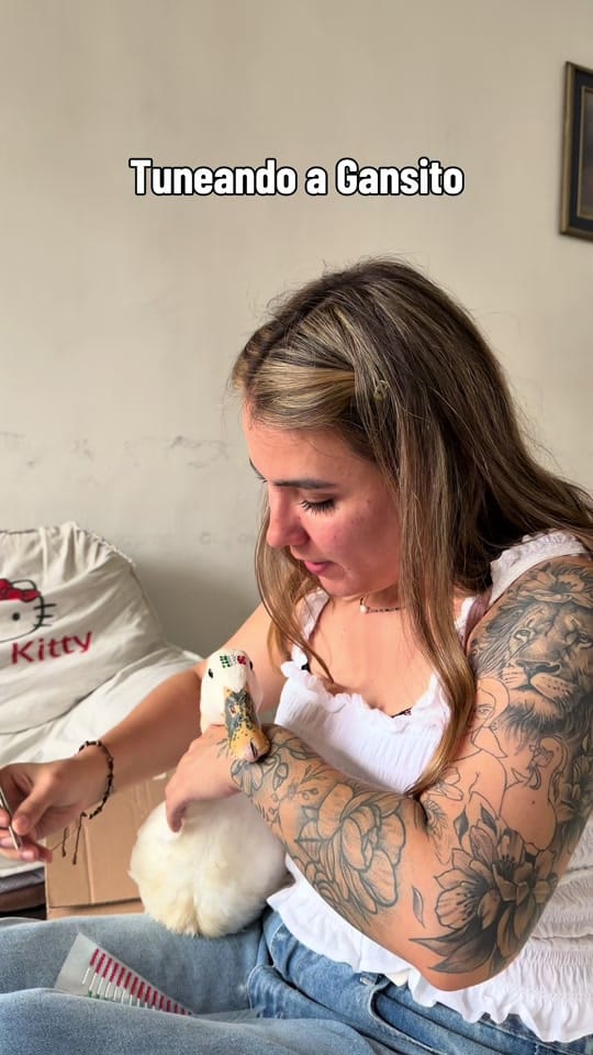 Post 5 by Mariam Leal🪿 on TikTok (video)